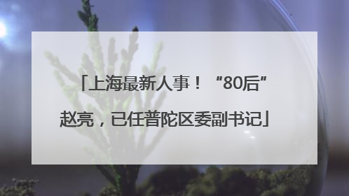 上海最新人事！“80后”赵亮，已任普陀区委副书记