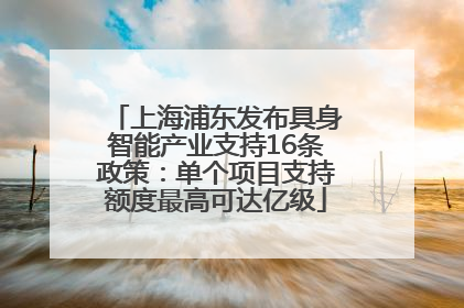 上海浦东发布具身智能产业支持16条政策：单个项目支持额度最高可达亿级