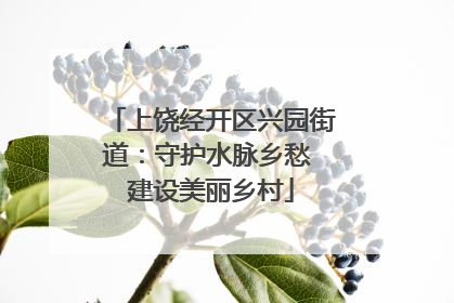 上饶经开区兴园街道：守护水脉乡愁 建设美丽乡村