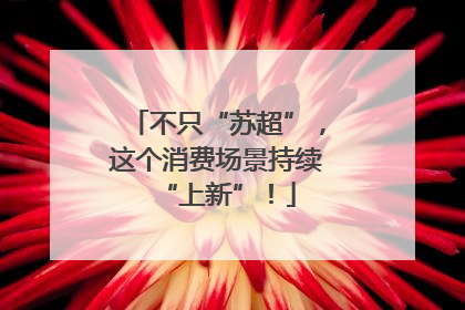 不只“苏超”，这个消费场景持续“上新”！