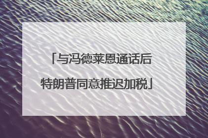 与冯德莱恩通话后 特朗普同意推迟加税