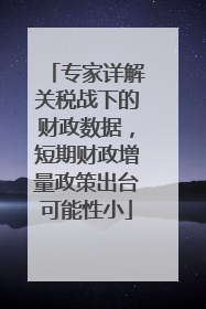 专家详解关税战下的财政数据，短期财政增量政策出台可能性小