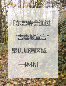 东盟峰会通过“吉隆坡宣言” 聚焦加强区域一体化