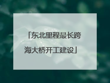 东北里程最长跨海大桥开工建设