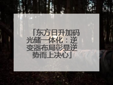 东方日升加码光储一体化：逆变器布局彰显逆势而上决心