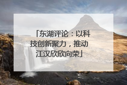 东湖评论：以科技创新聚力，推动江汉欣欣向荣