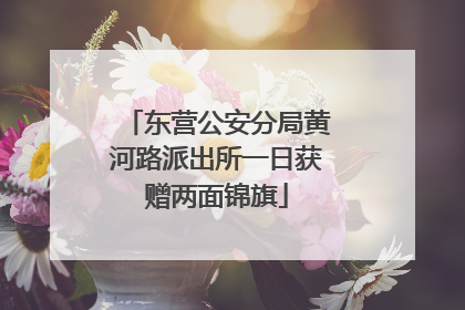 东营公安分局黄河路派出所一日获赠两面锦旗