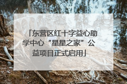 东营区红十字益心助学中心“星星之家”公益项目正式启用