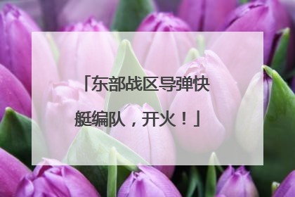 东部战区导弹快艇编队，开火！