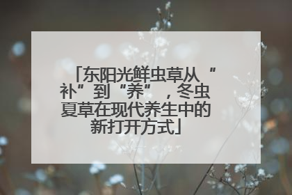 东阳光鲜虫草从“补”到“养”，冬虫夏草在现代养生中的新打开方式