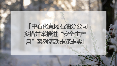 中石化黄冈石油分公司多措并举推进“安全生产月”系列活动走深走实