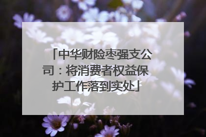 中华财险枣强支公司：将消费者权益保护工作落到实处