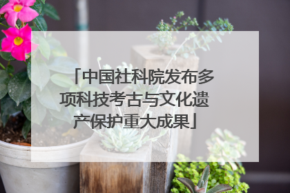 中国社科院发布多项科技考古与文化遗产保护重大成果