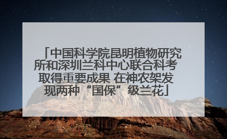 中国科学院昆明植物研究所和深圳兰科中心联合科考取得重要成果 在神农架发现两种“国保”级兰花