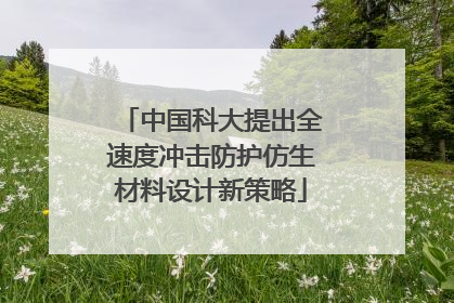 中国科大提出全速度冲击防护仿生材料设计新策略