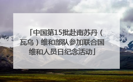中国第15批赴南苏丹（瓦乌）维和部队参加联合国维和人员日纪念活动