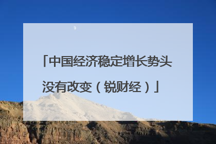 中国经济稳定增长势头没有改变（锐财经）