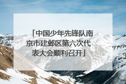 中国少年先锋队南京市建邺区第六次代表大会顺利召开