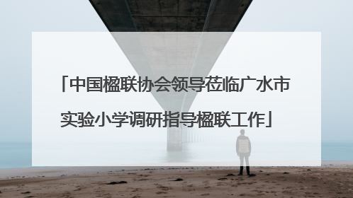 中国楹联协会领导莅临广水市实验小学调研指导楹联工作