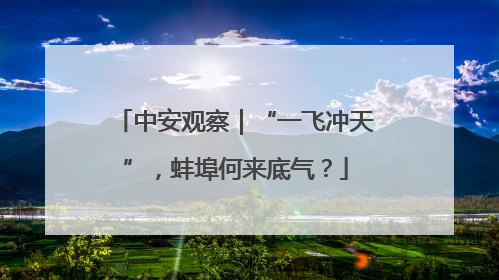 中安观察｜“一飞冲天”，蚌埠何来底气？
