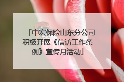 中宏保险山东分公司积极开展《信访工作条例》宣传月活动