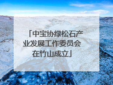 中宝协绿松石产业发展工作委员会在竹山成立