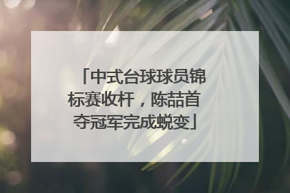 中式台球球员锦标赛收杆，陈喆首夺冠军完成蜕变
