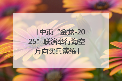 中柬“金龙-2025”联演举行海空方向实兵演练
