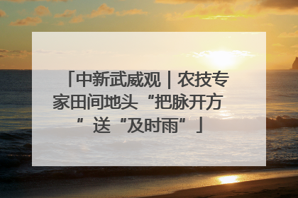 中新武威观｜农技专家田间地头“把脉开方”送“及时雨”