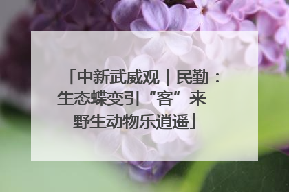 中新武威观｜民勤：生态蝶变引“客”来 野生动物乐逍遥