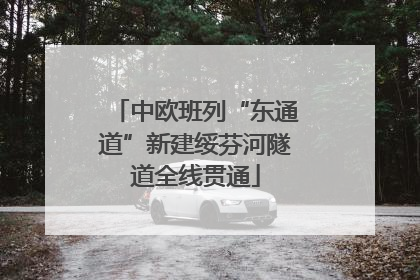 中欧班列“东通道”新建绥芬河隧道全线贯通
