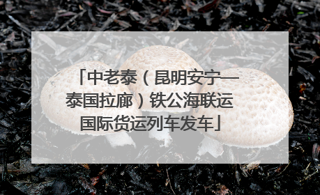 中老泰（昆明安宁—泰国拉廊）铁公海联运国际货运列车发车
