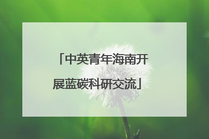 中英青年海南开展蓝碳科研交流