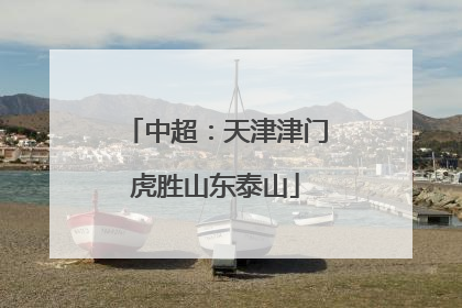 中超：天津津门虎胜山东泰山
