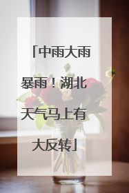 中雨大雨暴雨！湖北天气马上有大反转