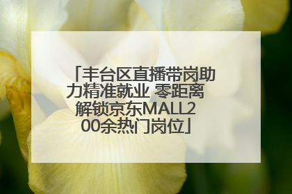 丰台区直播带岗助力精准就业 零距离解锁京东MALL200余热门岗位