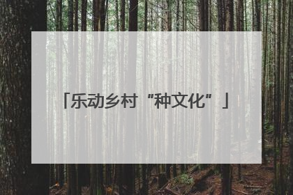 乐动乡村“种文化”