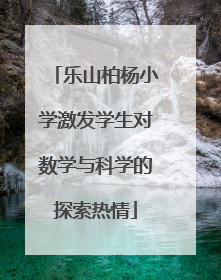 乐山柏杨小学激发学生对数学与科学的探索热情