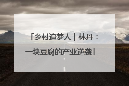 乡村追梦人｜林丹：一块豆腐的产业逆袭