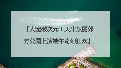 人宠破次元！天津东丽郊野公园上演端午奇幻狂欢