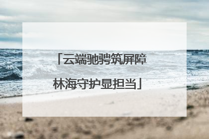 云端驰骋筑屏障 林海守护显担当