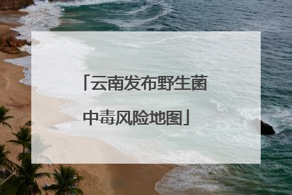 云南发布野生菌中毒风险地图