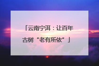 云南宁洱：让百年古树“老有所依”