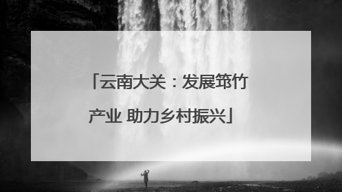 云南大关：发展筇竹产业 助力乡村振兴