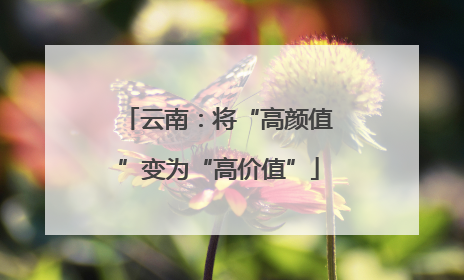 云南：将“高颜值”变为“高价值”