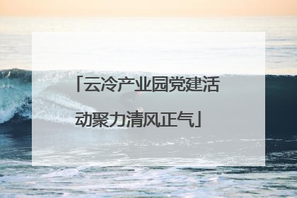 云冷产业园党建活动聚力清风正气