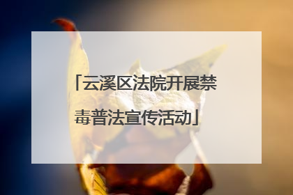 云溪区法院开展禁毒普法宣传活动