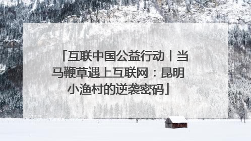 互联中国公益行动丨当马鞭草遇上互联网：昆明小渔村的逆袭密码