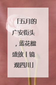 五月的广安街头，蓝花楹盛放丨镜观四川
