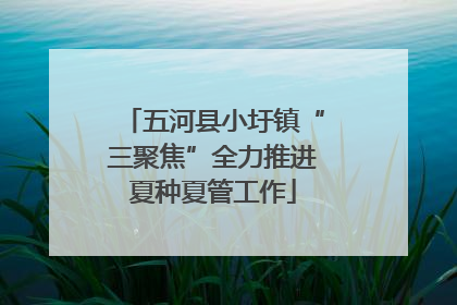 五河县小圩镇“三聚焦”全力推进夏种夏管工作